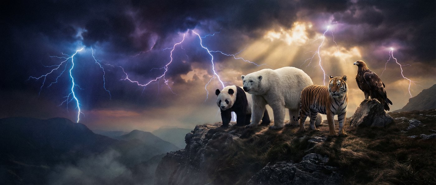 草榴动物写真视频社区